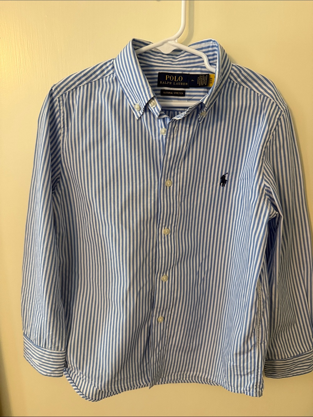 Polo by Ralph Lauren Light Blue and White Striped Button-Down Shirt